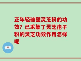 正年轻破壁灵芝粉的功效？已采集了灵芝孢子粉的灵芝功效作用怎样呢