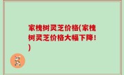 家槐树灵芝价格(家槐树灵芝价格大幅下降！)