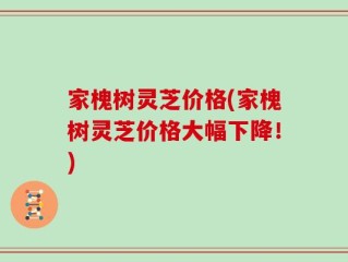 家槐树灵芝价格(家槐树灵芝价格大幅下降！)