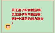 灵芝孢子粉和板蓝根(灵芝孢子粉与板蓝根：两种中草药的强力联合)