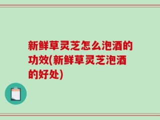 新鲜草灵芝怎么泡酒的功效(新鲜草灵芝泡酒的好处)