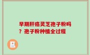 早期肝癌灵芝孢子粉吗？孢子粉种植全过程