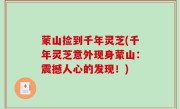 蒙山捡到千年灵芝(千年灵芝意外现身蒙山：震撼人心的发现！)