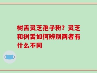 树舌灵芝孢子粉？灵芝和树舌如何辨别两者有什么不同