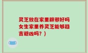 灵芝放在家里辟邪好吗女生家里养灵芝能够趋吉避凶吗？)