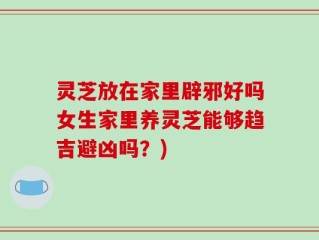灵芝放在家里辟邪好吗女生家里养灵芝能够趋吉避凶吗？)