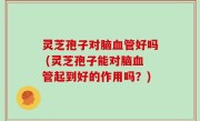 灵芝孢子对脑血管好吗 (灵芝孢子能对脑血管起到好的作用吗？)