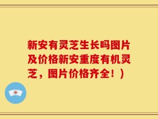 新安有灵芝生长吗图片及价格新安重度有机灵芝，图片价格齐全！)