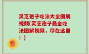 灵芝孢子吃法大全图解视频(灵芝孢子最全吃法图解视频，尽在这里！)