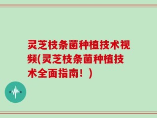 灵芝枝条菌种植技术视频(灵芝枝条菌种植技术全面指南！)