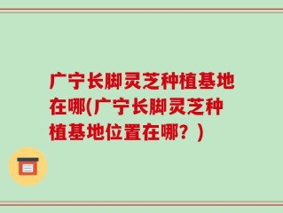 广宁长脚灵芝种植基地在哪(广宁长脚灵芝种植基地位置在哪？)