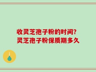 收灵芝孢子粉的时间？灵芝孢子粉保质期多久