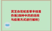 灵芝白花蛇舌草半枝莲作用(四种中药的功效与应用方式进行解析)