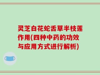 灵芝白花蛇舌草半枝莲作用(四种中药的功效与应用方式进行解析)
