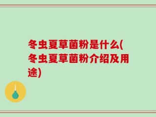 冬虫夏草菌粉是什么(冬虫夏草菌粉介绍及用途)