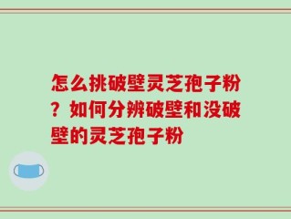 怎么挑破壁灵芝孢子粉？如何分辨破壁和没破壁的灵芝孢子粉