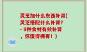 灵芝加什么东西补肾(灵芝搭配什么补肾？ - 9种食材有效补肾，你值得拥有！)