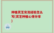 种植灵芝交流经验怎么写(灵芝种植心得分享)