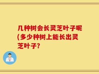 几种树会长灵芝叶子呢(多少种树上能长出灵芝叶子？