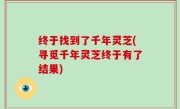 终于找到了千年灵芝(寻觅千年灵芝终于有了结果)