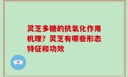 灵芝多糖的抗氧化作用机理？灵芝有哪些形态特征和功效