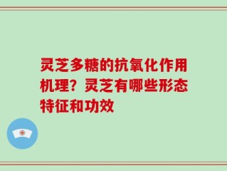 灵芝多糖的抗氧化作用机理？灵芝有哪些形态特征和功效