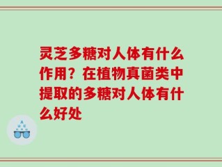灵芝多糖对人体有什么作用？在植物真菌类中提取的多糖对人体有什么好处