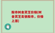 股市树舍灵芝价格(树舍灵芝走俏股市，价格上涨)