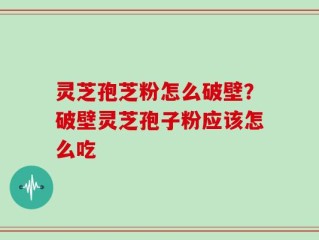 灵芝孢芝粉怎么破壁？破壁灵芝孢子粉应该怎么吃