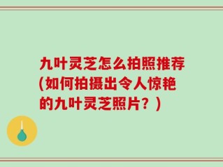九叶灵芝怎么拍照推荐(如何拍摄出令人惊艳的九叶灵芝照片？)