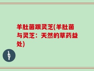 羊肚菌跟灵芝(羊肚菌与灵芝：天然的草药益处)
