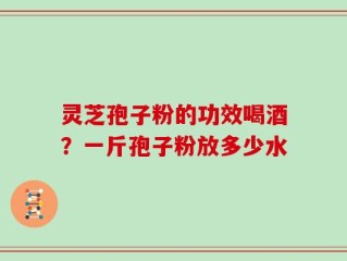 灵芝孢子粉的功效喝酒？一斤孢子粉放多少水