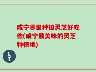 咸宁哪里种植灵芝好吃些(咸宁最美味的灵芝种植地)
