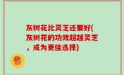 灰树花比灵芝还要好(灰树花的功效超越灵芝，成为更佳选择)