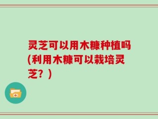 灵芝可以用木糠种植吗(利用木糠可以栽培灵芝？)