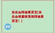 白云山拜迪黑灵芝(白云山现重磅发现拜迪黑灵芝！)