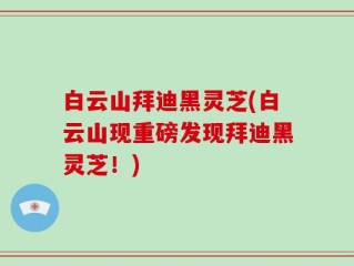 白云山拜迪黑灵芝(白云山现重磅发现拜迪黑灵芝！)