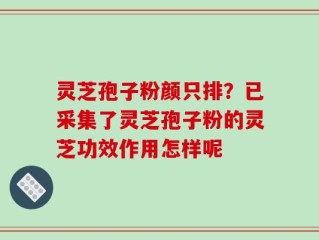 灵芝孢子粉颜只排？已采集了灵芝孢子粉的灵芝功效作用怎样呢