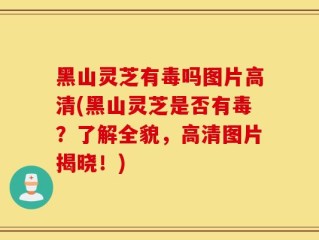 黑山灵芝有毒吗图片高清(黑山灵芝是否有毒？了解全貌，高清图片揭晓！)