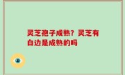 灵芝孢子成熟？灵芝有白边是成熟的吗
