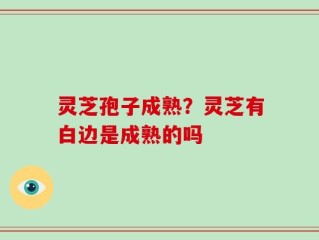 灵芝孢子成熟？灵芝有白边是成熟的吗