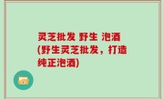 灵芝批发 野生 泡酒(野生灵芝批发，打造纯正泡酒)