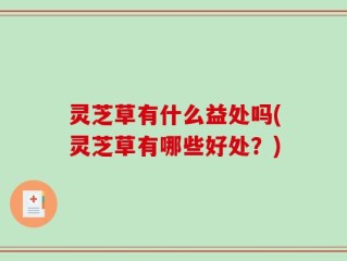 灵芝草有什么益处吗(灵芝草有哪些好处？)