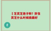 雲芝灵芝孢子粉？野生灵芝什么时候摘最好