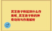 灵芝孢子粉起到什么作用呢_灵芝孢子粉的神奇功效与作用解析