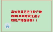 真如意灵芝孢子粉产地哪里(真如意灵芝孢子粉的产地在哪里？)