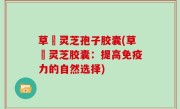 草姫灵芝孢子胶囊(草姫灵芝胶囊：提高免疫力的自然选择)