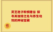 灵芝孢子粉桐君谷 探寻其独特之处与养生功效的神秘宝藏