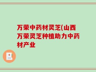 万荣中药材灵芝(山西万荣灵芝种植助力中药材产业