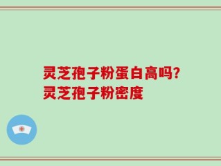 灵芝孢子粉蛋白高吗？灵芝孢子粉密度